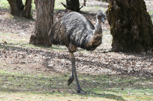 �1169448 �������(a): ����������:2048x1360